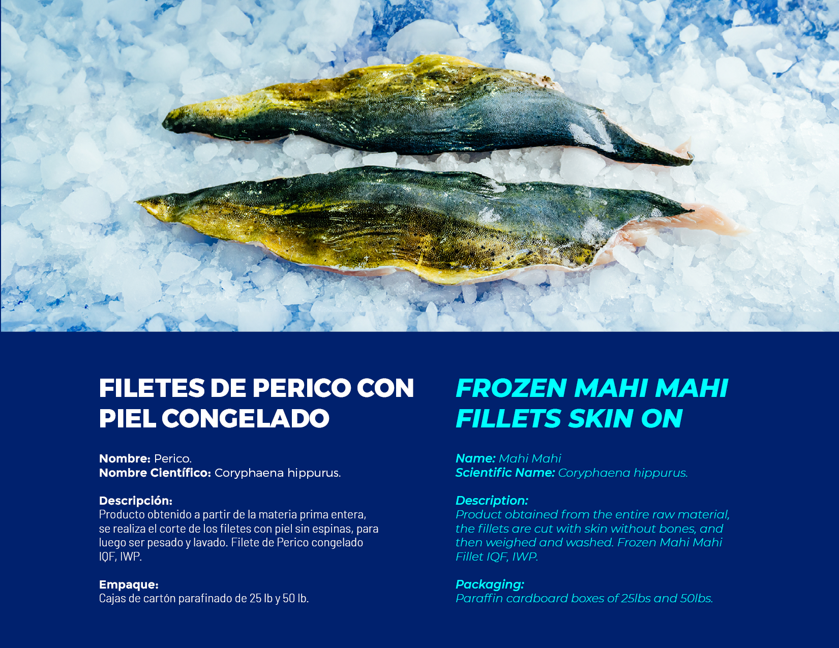 brochure 1